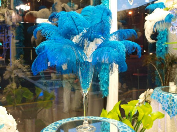 Blue Ostrich Splendor