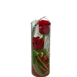 Double Stem