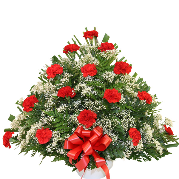 Red Carnation Fan