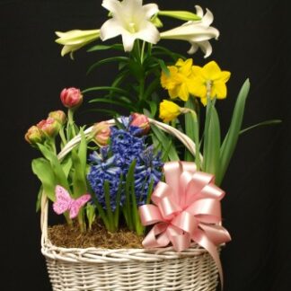 Easter Lily Garden
