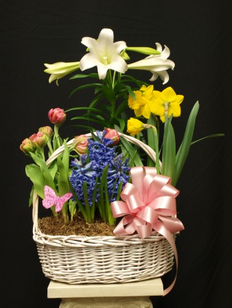 Easter Lily Garden