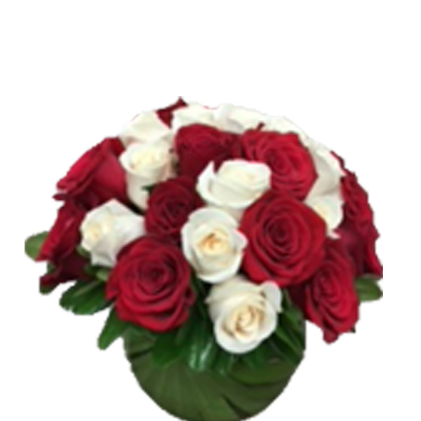 Bowl Of Roses