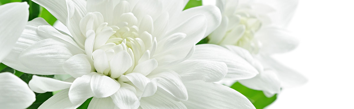 Heartfelt Bereavement Flowers