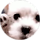 Nan