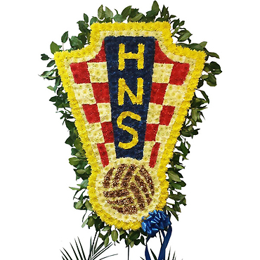 HNS Symbol