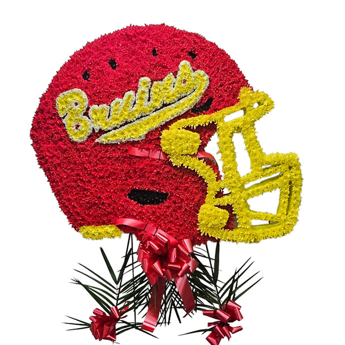 Bruins Helmet