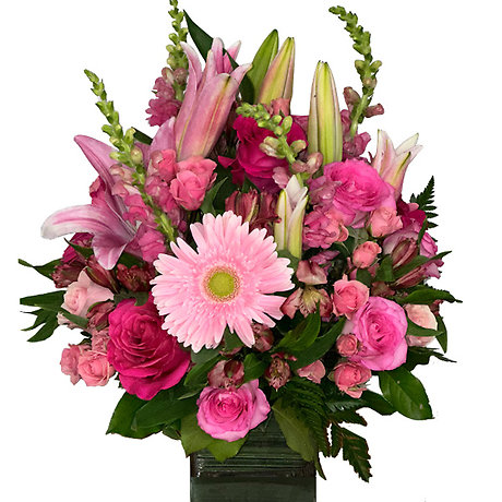 Pink Powerhouse