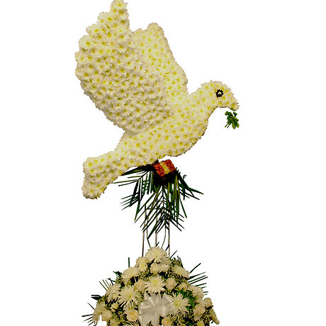 3D White Dove