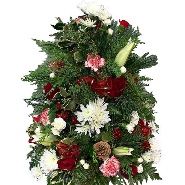 Holly Tree