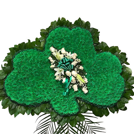 Shamrock Deluxe